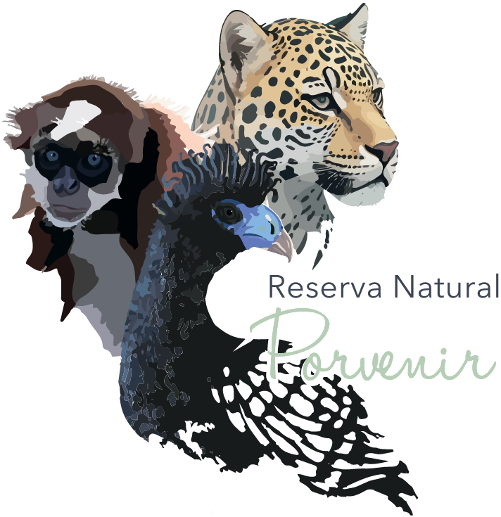 Logo: Brauner Klammeraffe, Jaguar und Blaulappenhokko